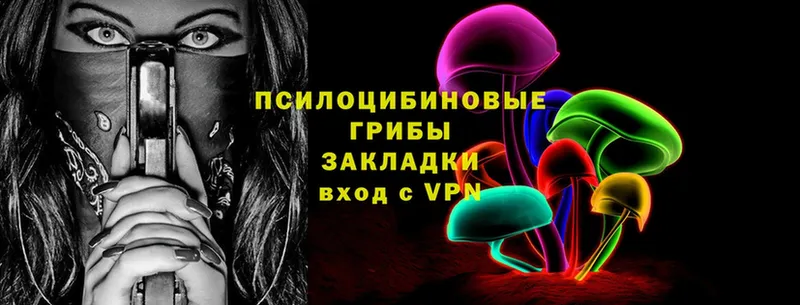 Псилоцибиновые грибы Psilocybe  купить закладку  Ардатов 